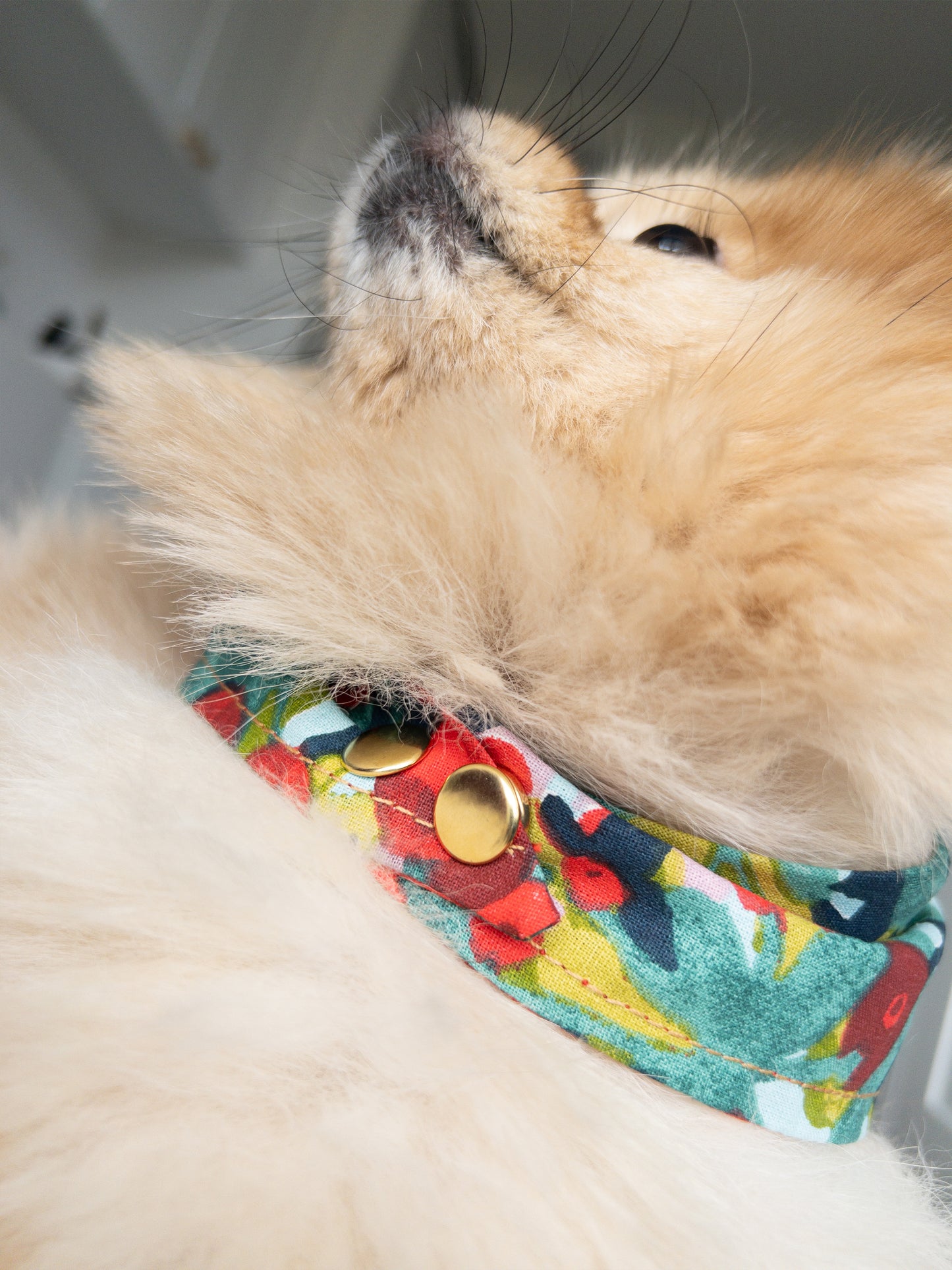 Dog Bandanas with Metal Snap