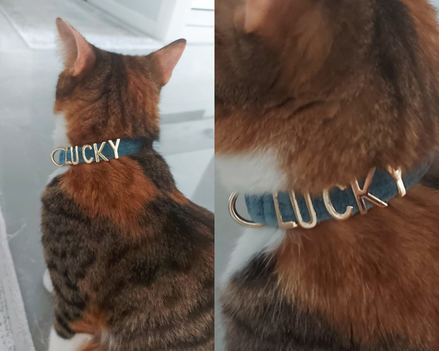 Cat collar, Custom pet collar, Personalized Cat Collars with Custom Metal Letter Label, Pet Accessories